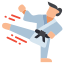 Martial Arts icon